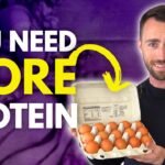 Prodough Protein: What You Need to Know